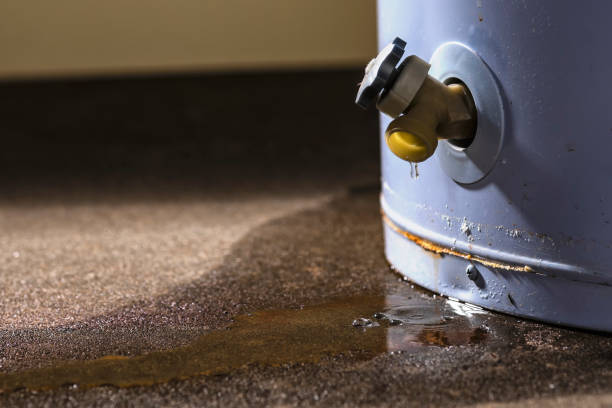 Best Professional water damage repair  in Port Washington, NY