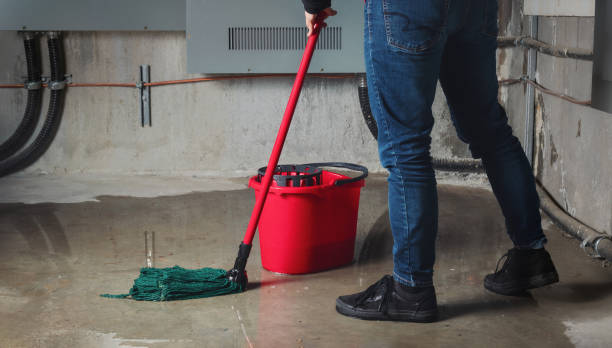 Best 24-hour water damage restoration  in Port Washington, NY
